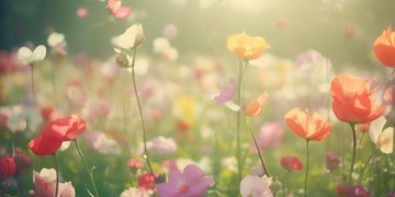 我走在花丛中到底是哪首歌？