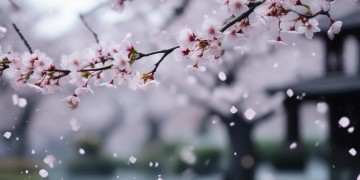 韩剧里最催泪的歌究竟是哪首？