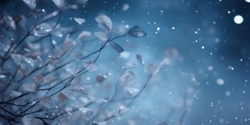 毛不易会给别人发什么歌呢？