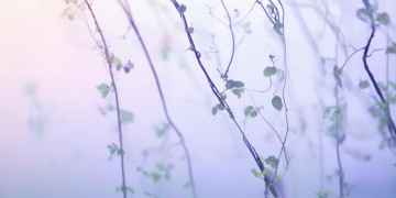 每次想你都要窒息到底是哪首歌？