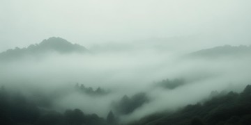 有的人永远睡不醒出自哪首歌？