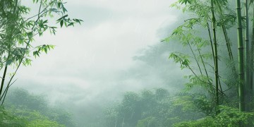 西瓜空山竹雨究竟喜欢听什么歌？