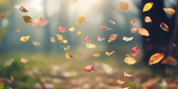 转眼都飘散如烟出自哪一首歌？