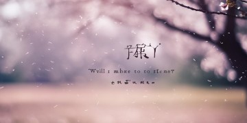 我们会走到最后吗出自哪首歌？