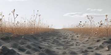 灰色的土地这句歌词出自哪首歌？
