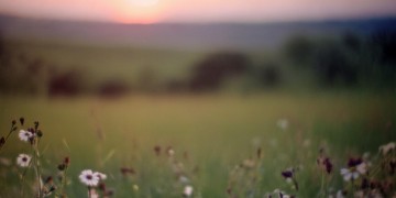 那段已逝的日子出自哪首歌？