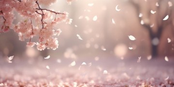 不愿再让你受伤究竟是哪首歌？