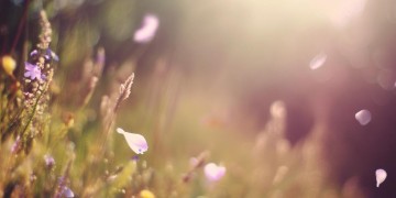 错过一个花季究竟是哪首歌？