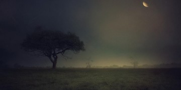 她的冷漠让人心寒究竟是哪首歌？