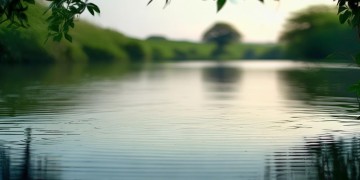 也想过缓缓的未来出自哪首歌？
