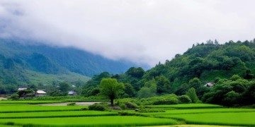 壮族三月三为何又叫歌圩节？