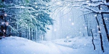 雪中的青春究竟是何时的歌？