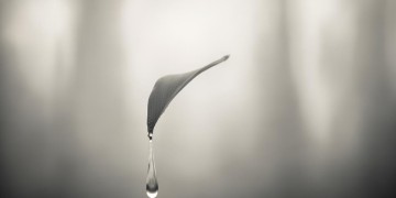 因不经红尘的泪究竟是哪首歌？