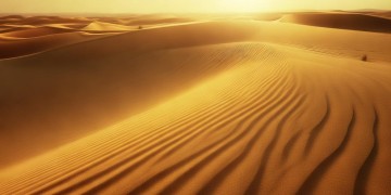 沙尬沙尬呀到底是什么歌？