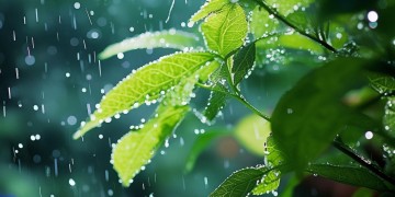 绵绵细雨长留心底究竟是哪首歌？