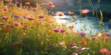 燎原回方的歌究竟是什么？