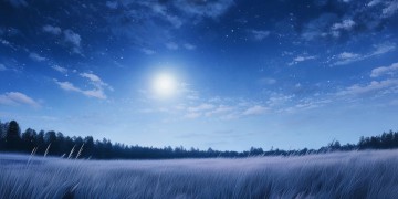 夜晚的风又凉又爽到底是哪首歌？