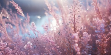 谭松韵最红的歌究竟是什么？