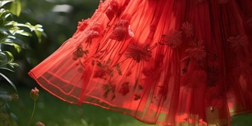 顾一野红裙子到底是什么歌？