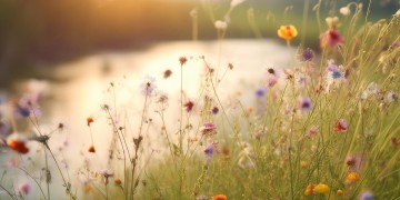 欢送所有悲伤年华究竟是哪首歌？