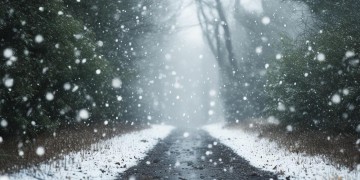 下雪前下雨后究竟是哪首歌？