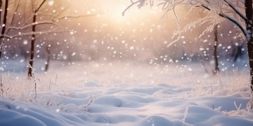 我想约你去看雪出自哪首歌？