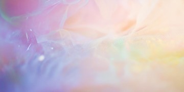与君歌中的面叫什么？