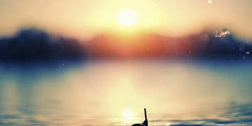 希望明天会更好出自哪首歌？