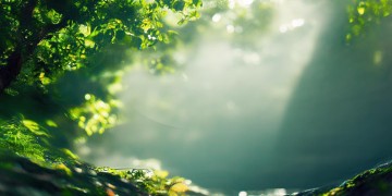 没眼泪就代表坚强出自哪首歌？