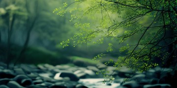 希望别人没事，该选什么歌？