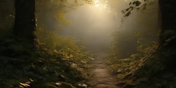 安全感慢慢的消失究竟是哪首歌？