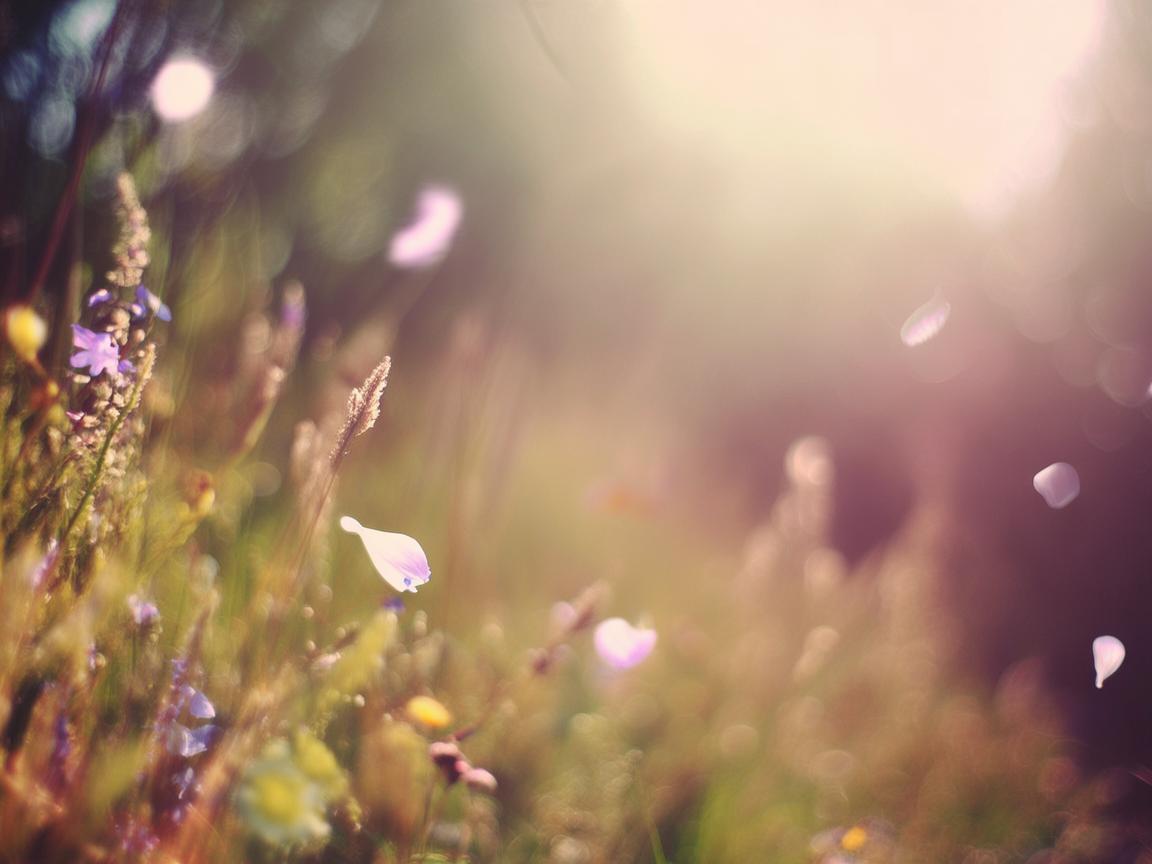 错过一个花季究竟是哪首歌？