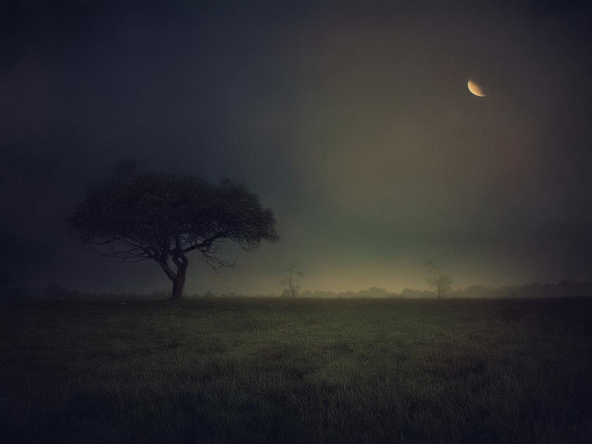 她的冷漠让人心寒究竟是哪首歌？